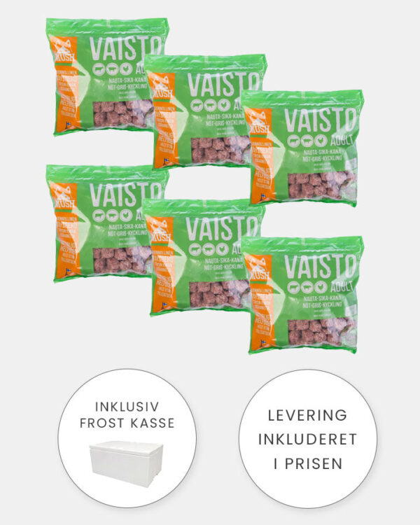MUSH Vaisto Grøn XL - Starter med Gris, Okse og Kylling - 6x3kg